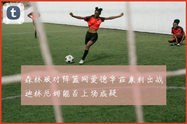 森林狼对阵篮网爱德华兹康利出战迪林厄姆能否上场成疑